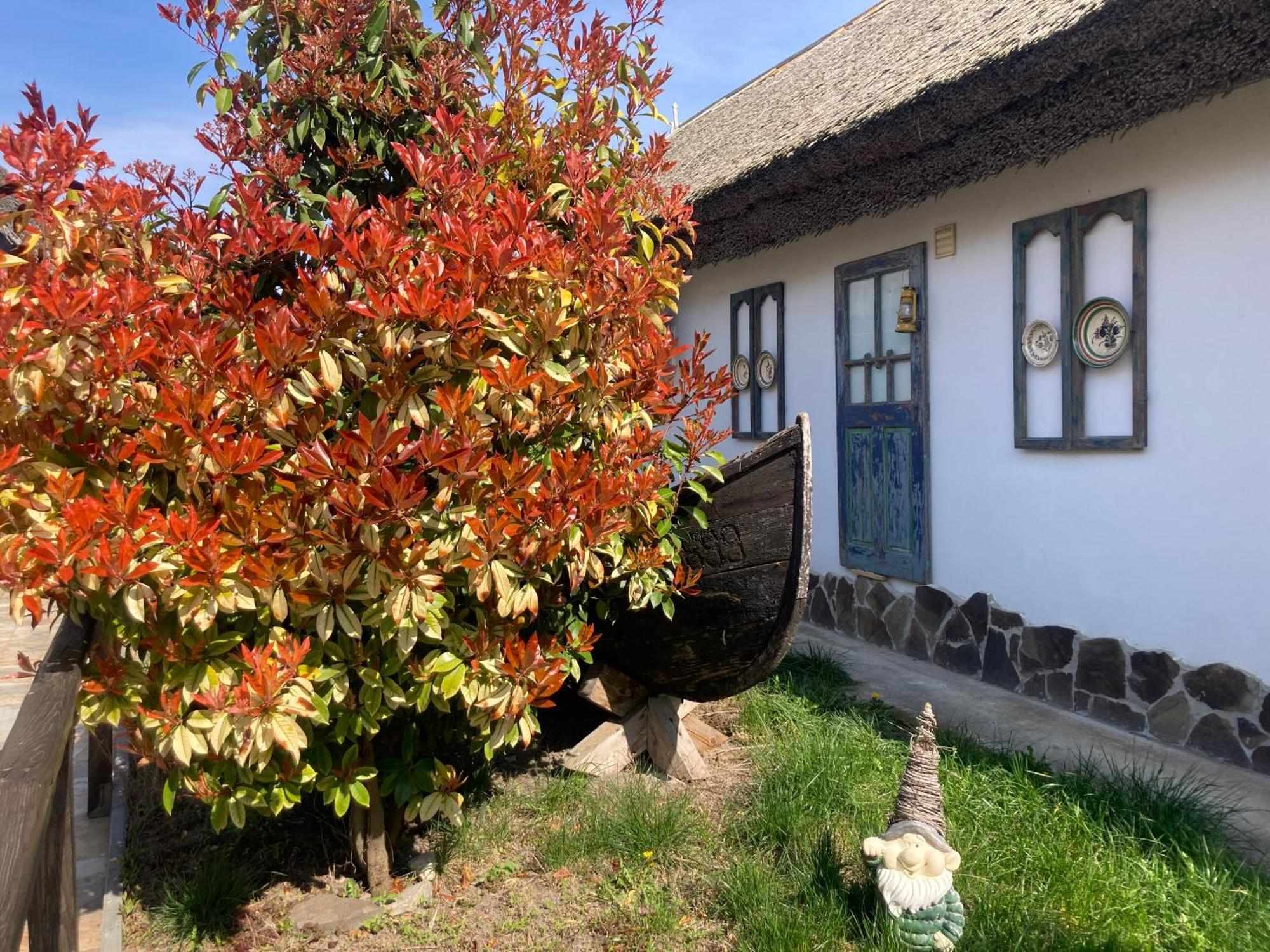 Casa Soarelui 호텔 무리기올 외부 사진