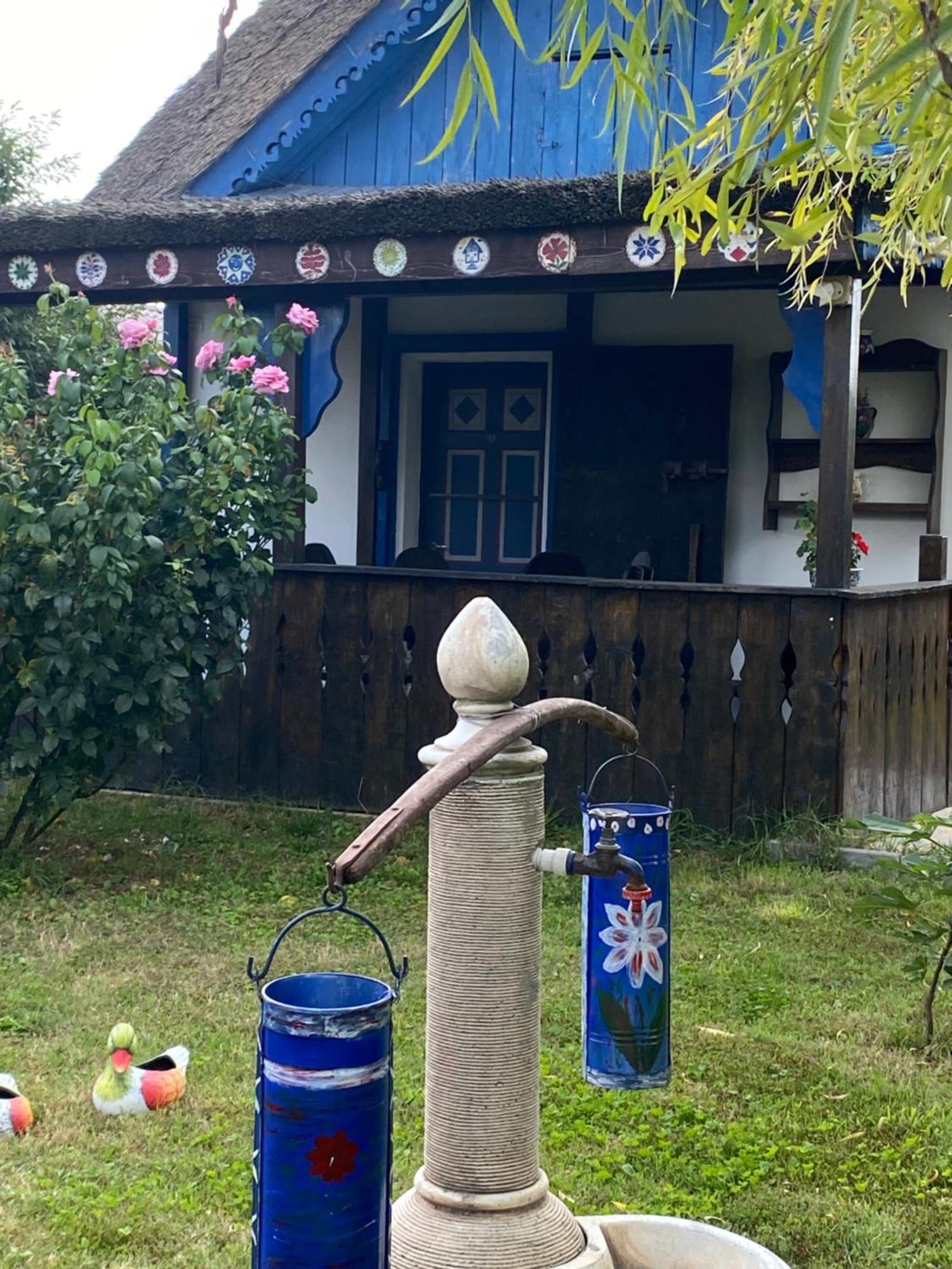 Casa Soarelui 호텔 무리기올 외부 사진